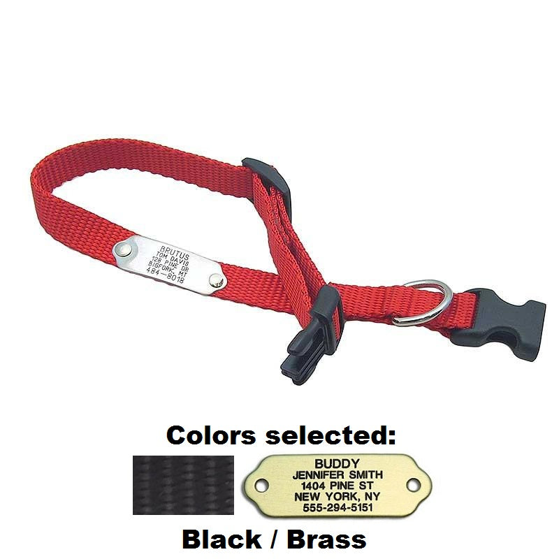 Rivet ID Collar for Dogs, - Lucky Pet